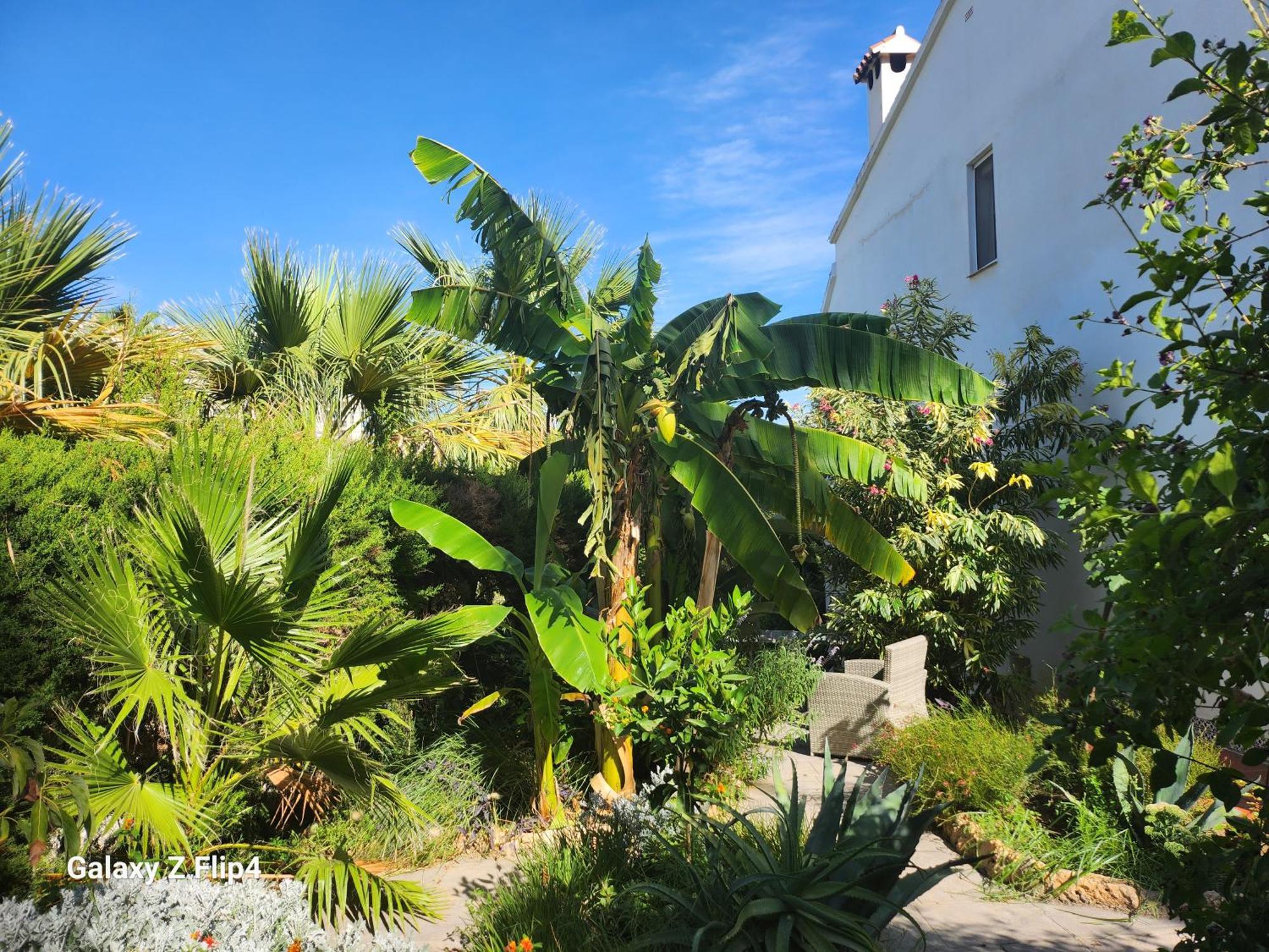 Deluxe Studio Athos 50 Mp Garden Patio Benalmadena Golf & Beach Exterior photo